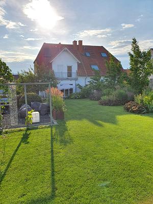 Garten Nebel