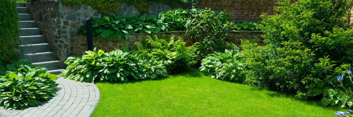 Stabenow & Partner Forstservice/Galabau | Inh. Andreas Stabenow