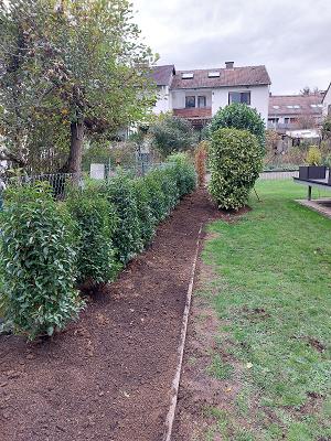 Wall Baum und Gartenpflege