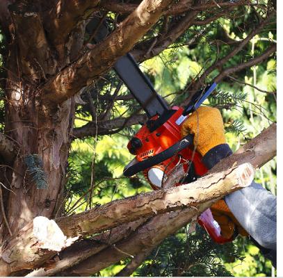 Uckermark Grün GmbH