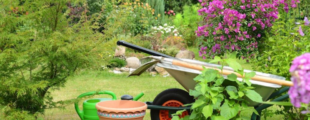 Eiselt Garten- und Hausmeisterservice