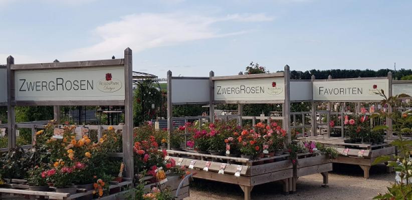 RosenPark Dräger GmbH & Co. KG