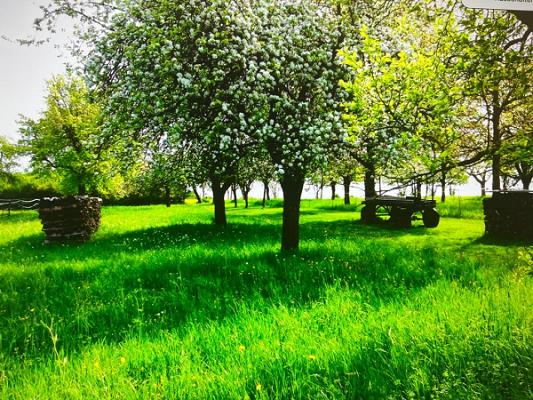 Sie kam sah und säte!