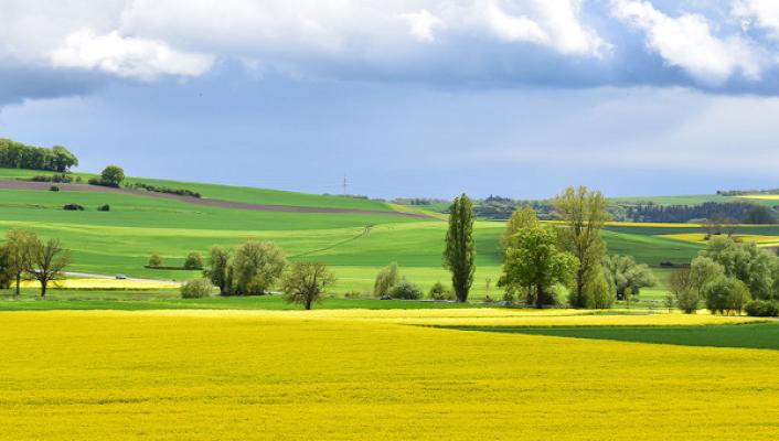Landschaftsplanung Mergner