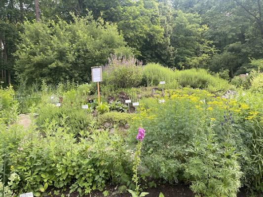 Lehmann Garten