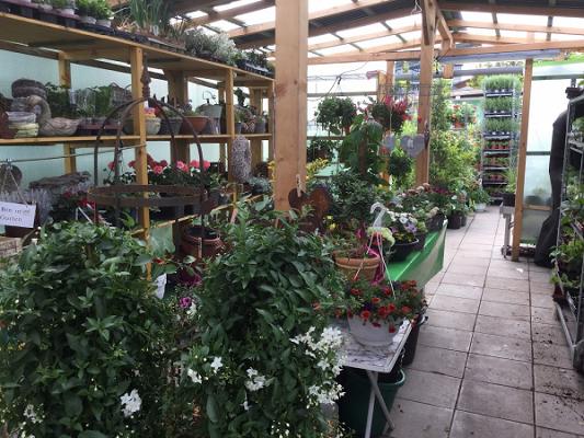 GartenCenter Neu-Anspach
