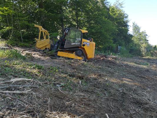 Fr. Oberurseler Forstdienstleistungen e.K