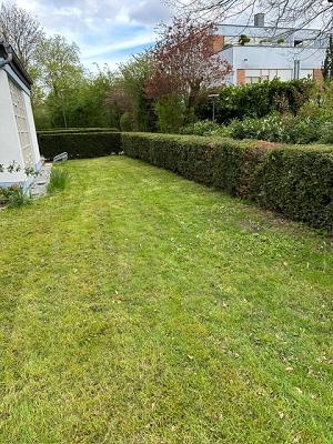 Universe Facility Services Gebäudereinigung, Gartenpflege & Winterdienst