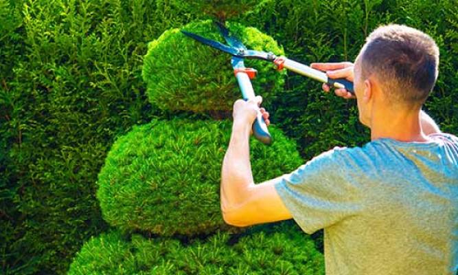 Idrizi Haus- & Gartenservice