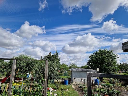Gartensparte Apfelblüte