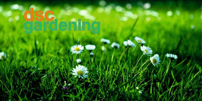 dsc gardening GmbH