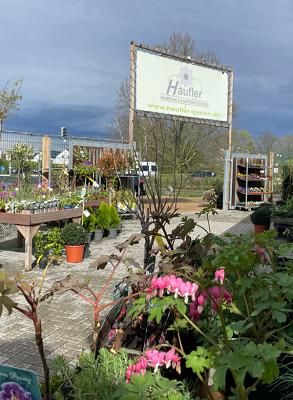 Thomas Haufler Baumschule & Gartengestaltung