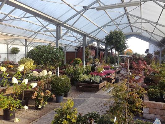 Baumschule Schüler /Schüler GmbH Garten- und Landschaftsbau