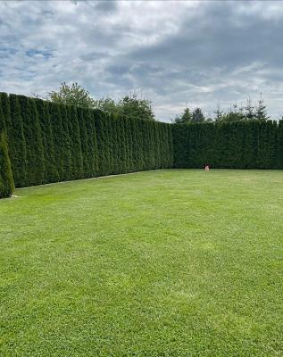 GrünOase Gartenservice