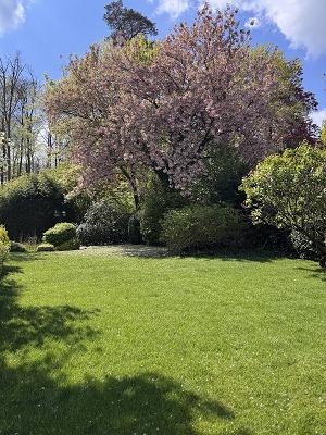 Gras Grün Garten u. Landschaftsbau