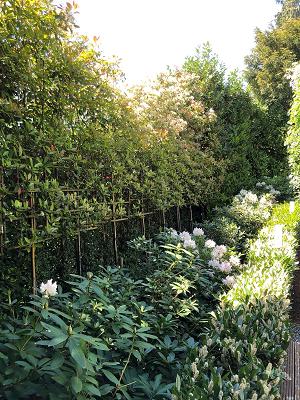 682e90f1a3dbf