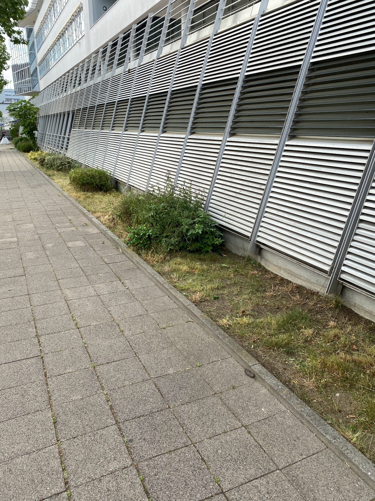 682e912a05142
