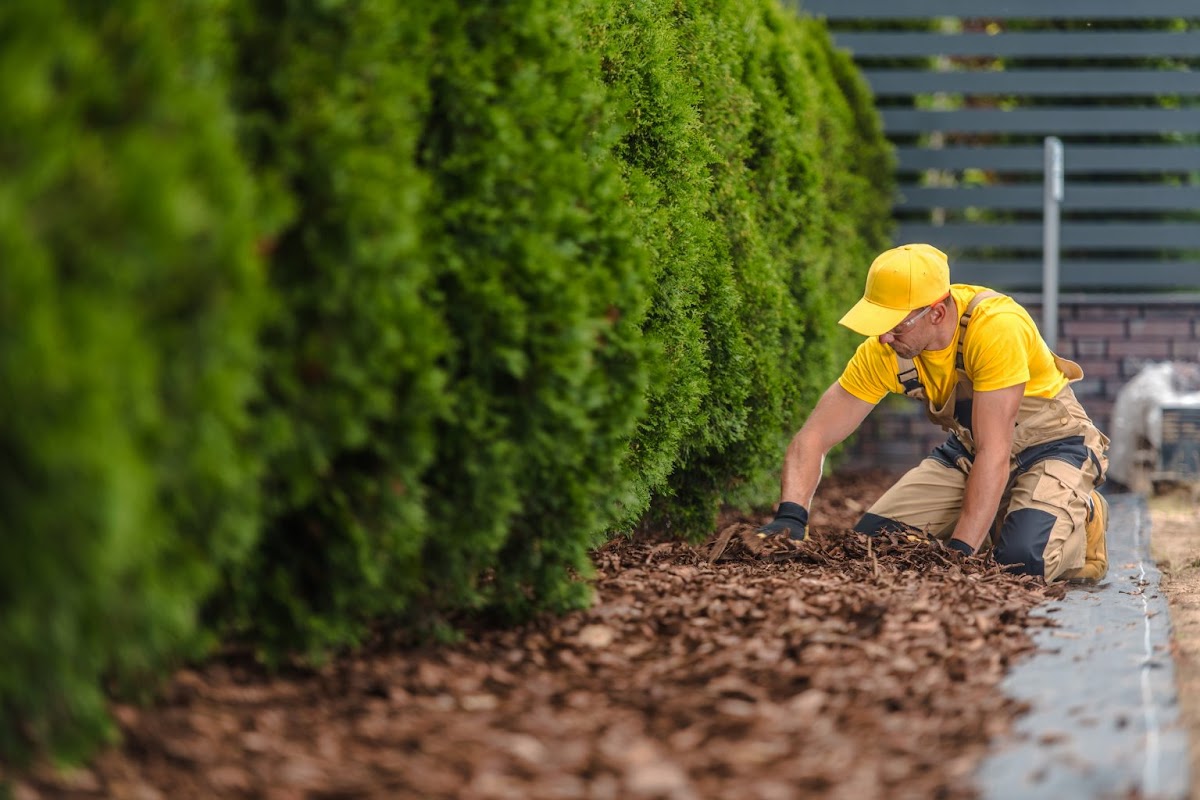 682e9149e070d