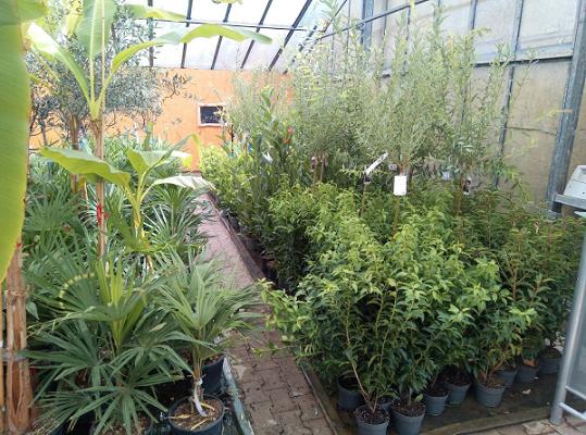 Graf Gartenwelt
