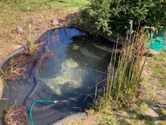 Garten und Teichpflegeservice Hering