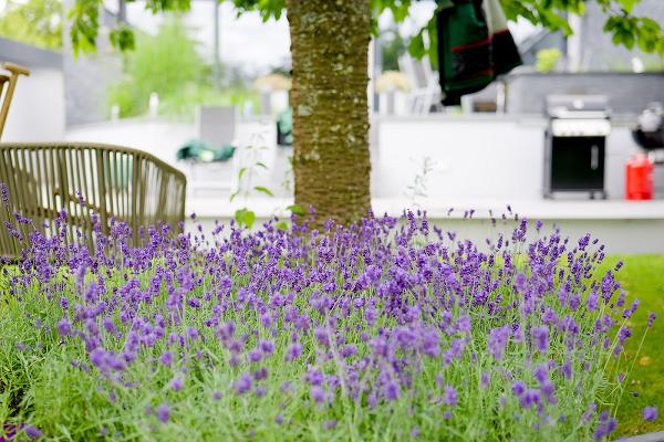 SK Gartengestaltung und Baumpflege