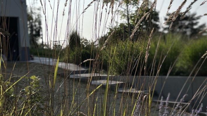 Diehl Garten Und Landschaftsbau