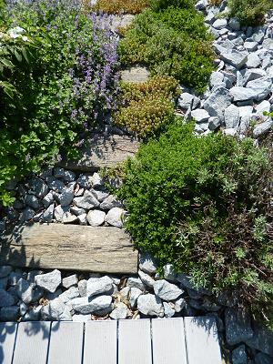 Kaiser Gartenplanung