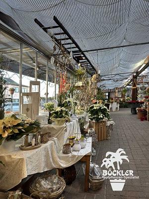 Böckler Andreas Gärtnerei