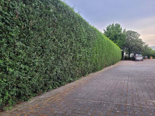 A.Duttine Gartenpflege und Gestaltung