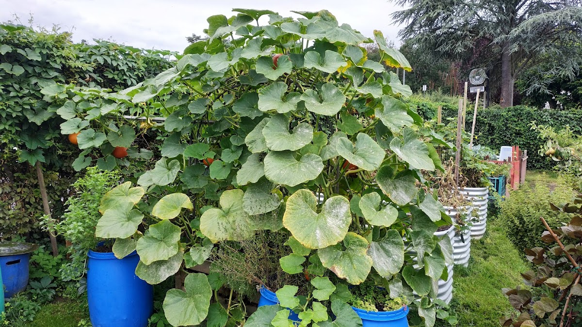 682e92960c739