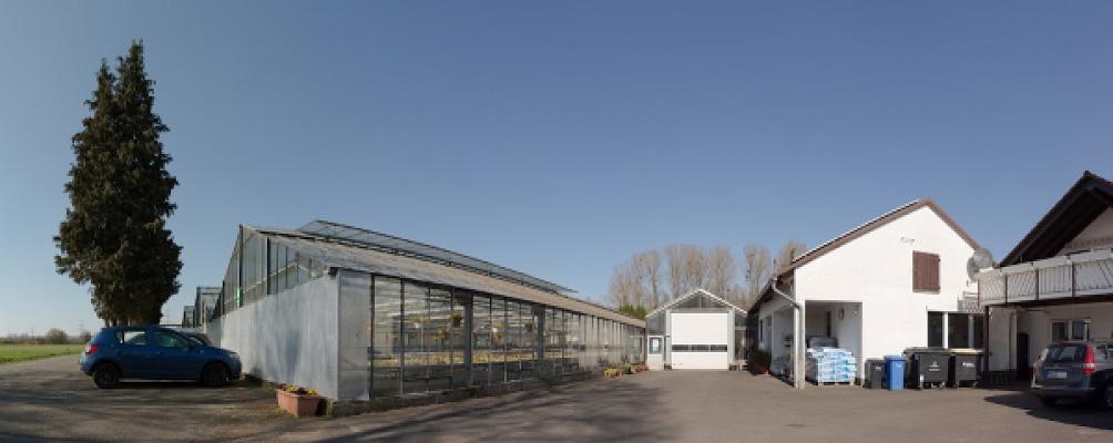 Gärtnerei Frank