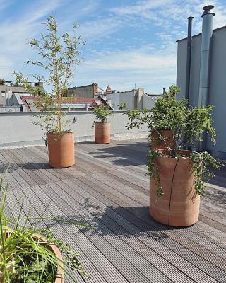 pflanz im glück. Dachterrassenbepflanzung