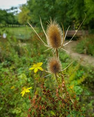 682e932d21e43