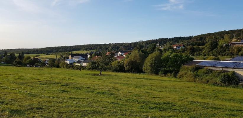 Felix Zörner Garten- und Landschaftsbau