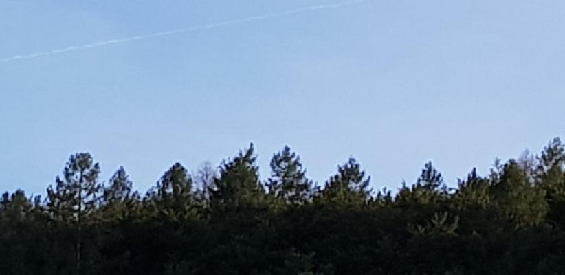 682e9371ccdf9