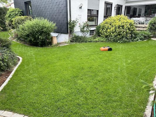 David Helmlinger Garten- und Landschaftsbau