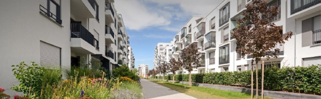 agu | Goldmann Landschaftsarchitektur