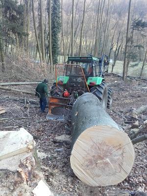 Baumfällungen & Baumpflege Matthias Götz Fachagrarwirt Baumpflege