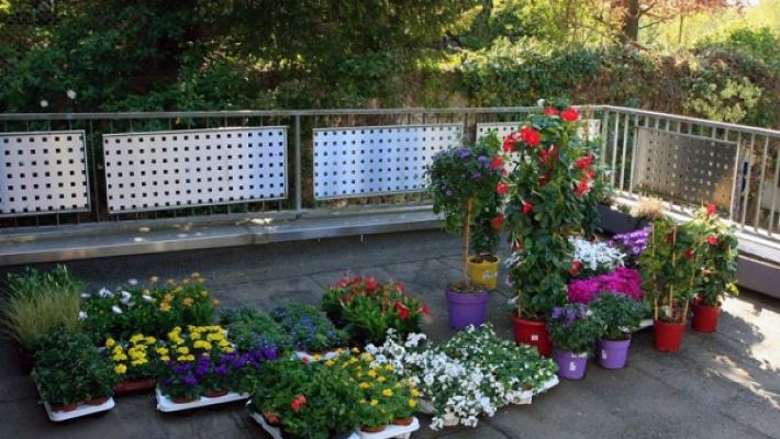 Thomas Mayer Garten- und Landschaftsbau