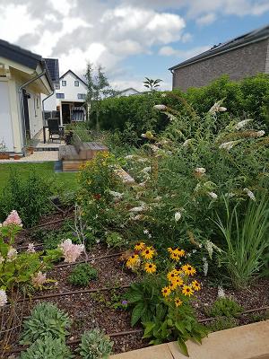 Schaffrin Garten und Landschaftsbau