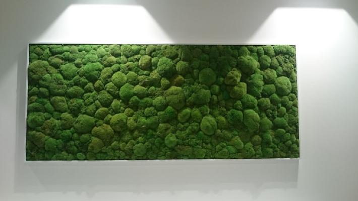 Acker Torsten Gartenbau Meister