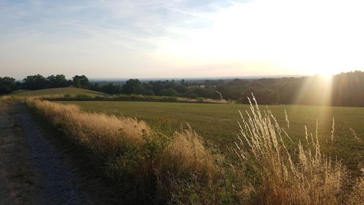 VM Naturteich- und Gartengestaltung GmbH