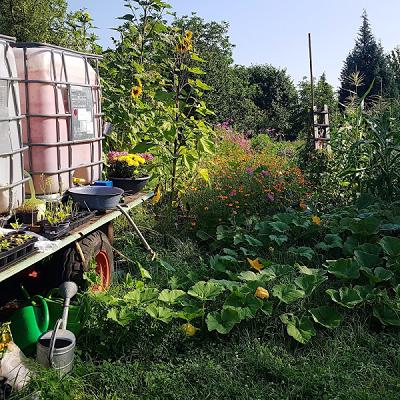 Käthe's Gemüsegarten