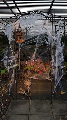 Baumschule Dietrich / Garten und Pflanzen