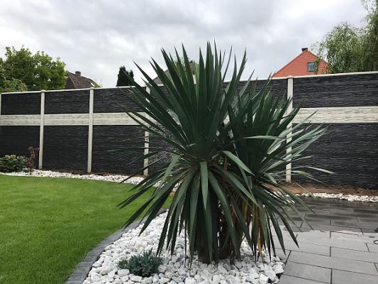 HMS betonzaun Salem Garten & Landschaftsbau