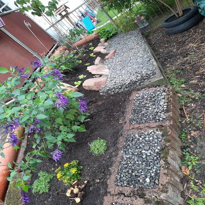 Gartenservice Kim Karg