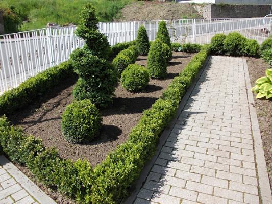Matthias Nupnau, Dienstleistungen in Gartenbau und Forstwirtschaft