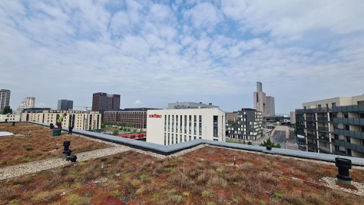 Metz Gebäudebegrünung GmbH