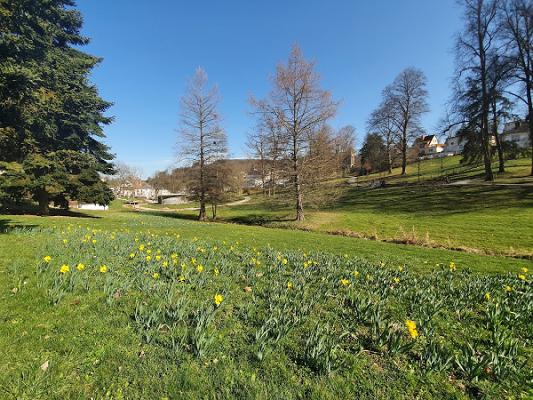 Kneipp-Heilpflanzengarten