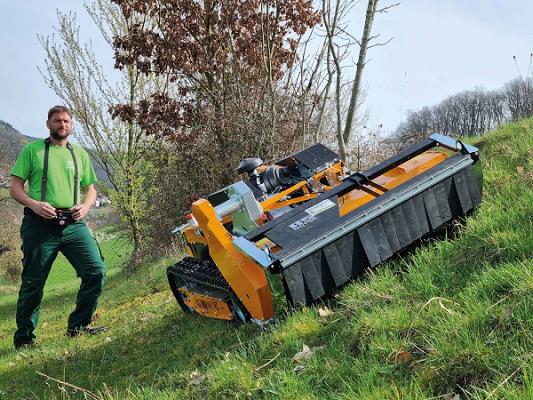 Eck Gartenservice
